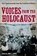 Voices from the Holocaust, Jon E. Lewis - Paperback - 9781849017237