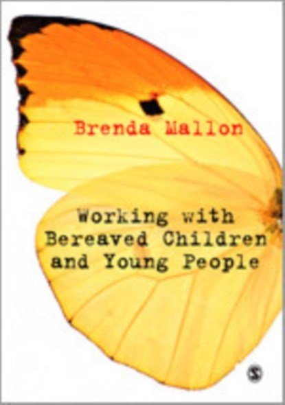 Working with Bereaved Children and Young People, Brenda Mallon - Paperback - 9781849203715