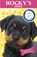 Scruffy Bear and the Lost Ball, Christopher Wormell - Paperback - 9781849415460