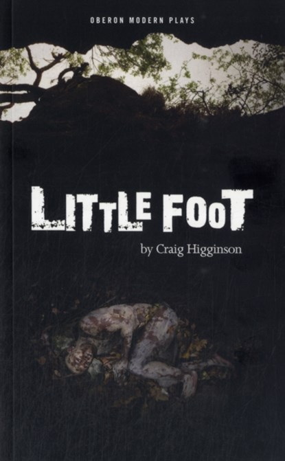 Little Foot, Craig Higginson - Paperback - 9781849434003