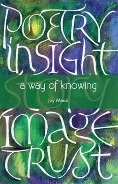 A Way of Knowing, Joy Mead - Overig - 9781849522236