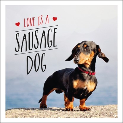 Love is a Sausage Dog, Charlie Ellis - Gebonden - 9781849539876