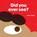 Did You Ever See?, Joanna Walsh - Gebonden - 9781849763493