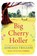 Big Cherry Holler, Adriana Trigiani - Paperback - 9781849834032