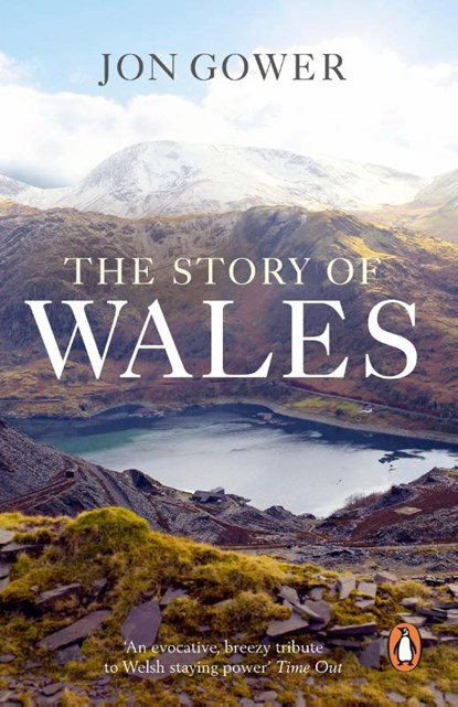 The Story of Wales, Jon Gower - Paperback - 9781849903738