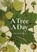 A Tree A Day, Amy-Jane Beer - Gebonden - 9781849946520