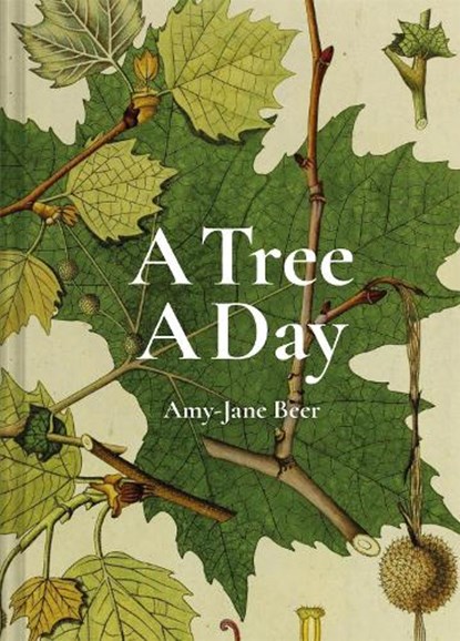 A Tree A Day, Amy-Jane Beer - Gebonden Gebonden - 9781849946520