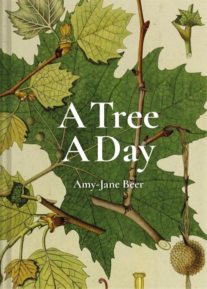 A Tree A Day, Amy-Jane Beer - Gebonden - 9781849946520