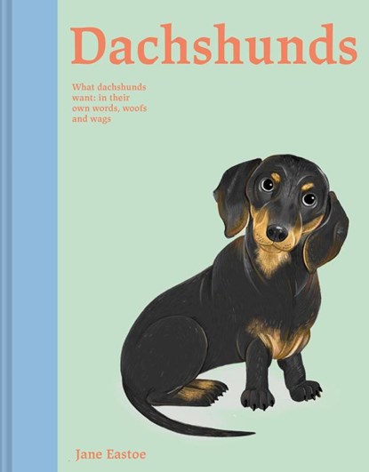 Dachshunds, Jane Eastoe - Gebonden - 9781849948401