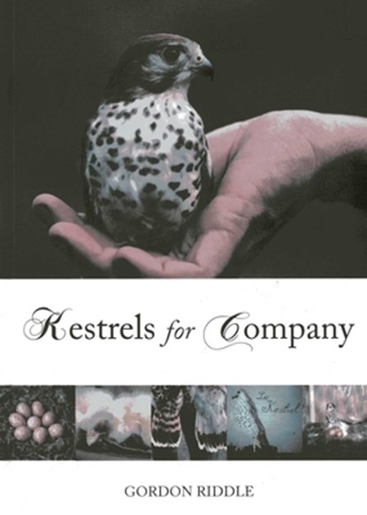 Kestrels for Company, Gordon Riddle - Paperback - 9781849950299