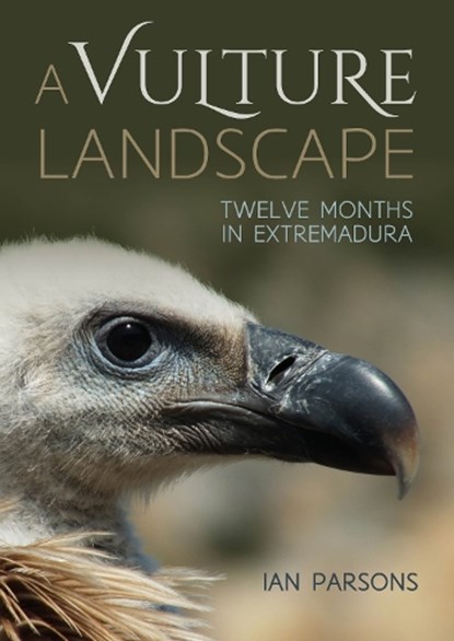 A Vulture Landscape, Ian Parsons - Paperback - 9781849954570