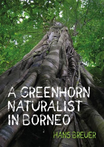 A Greenhorn Naturalist in Borneo, Hans Breuer - Paperback - 9781849955089