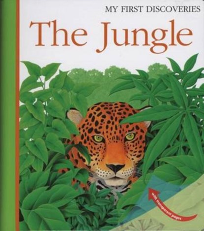 The Jungle, Rene Mettler - Gebonden - 9781851033997