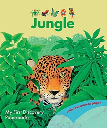 The Jungle, Rene Mettler - Paperback - 9781851037629