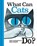 What Can Cats Do?, Abner Graboff - Gebonden - 9781851244935