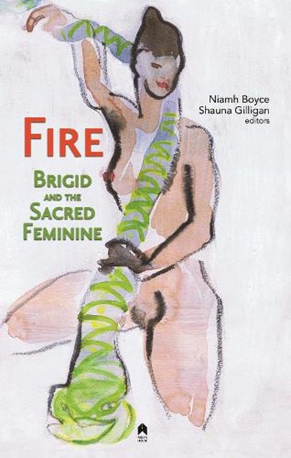 Fire, Niamh Boyce - Paperback - 9781851323289