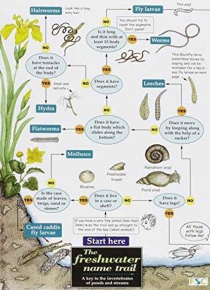 The Freshwater name trail, Richard Orton ; Anne Bebbington ; John Bebbington - Paperback - 9781851538393