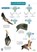 A Guide to British Bats, Kate Jones - Gebonden - 9781851538751