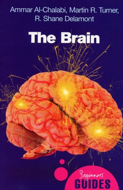 The Brain, Ammar al-Chalabi ; Martin Turner ; R. Shane Delamont - Paperback - 9781851685943