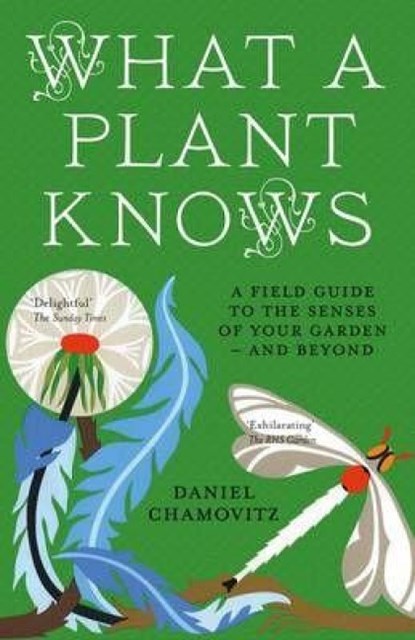 What a Plant Knows, Daniel Chamovitz - Paperback - 9781851689705