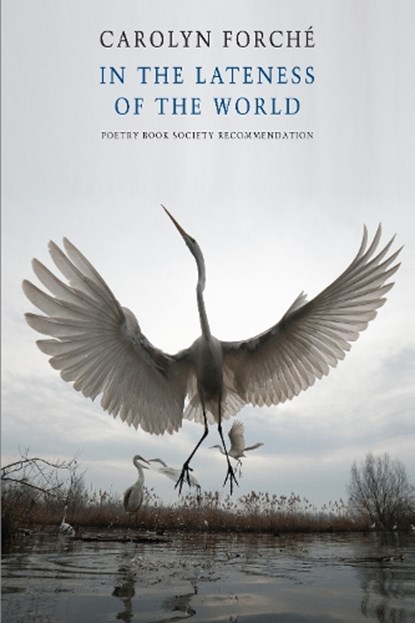 In the Lateness of the World, Carolyn Forche - Paperback - 9781852249649