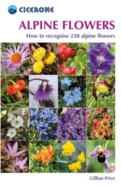 Alpine Flowers, Gillian Price - Paperback - 9781852845650