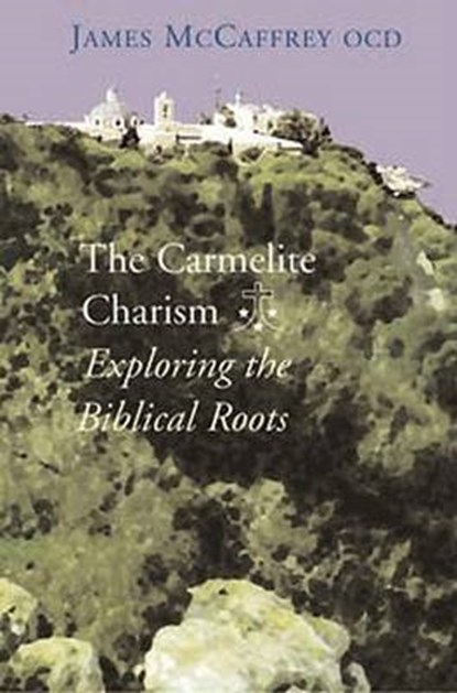 The Carmelite Charism, James McCaffrey - Paperback - 9781853907371
