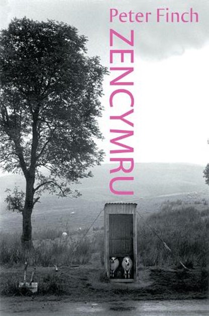 Zen Cymru, Peter Finch - Paperback - 9781854115003