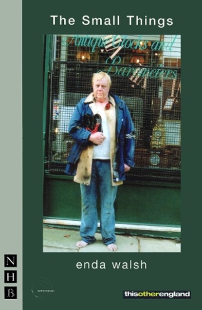 The Small Things, WALSH,  Enda - Paperback - 9781854598431
