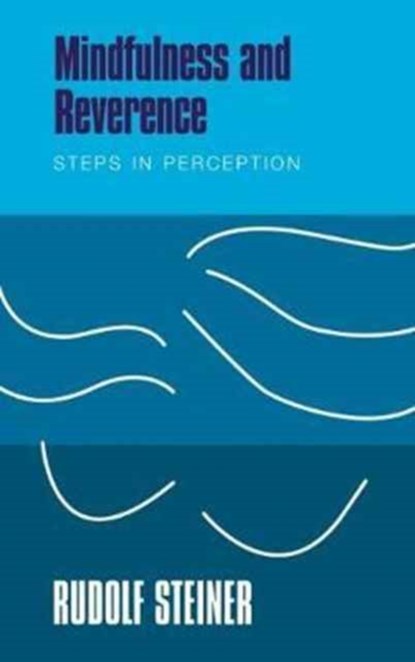 Mindfulness and Reverence, Rudolf Steiner - Paperback - 9781855845367