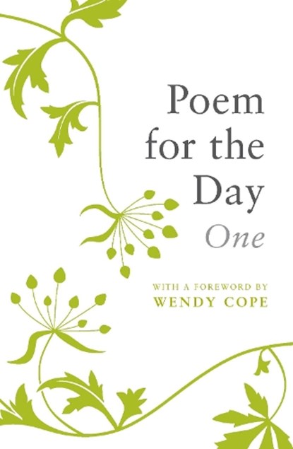 Poem for the Day, Nicholas Albery - Paperback - 9781856194990