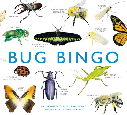 Bug Bingo, BERRIE,  Christine - Losbladig Gebonden - 9781856699402
