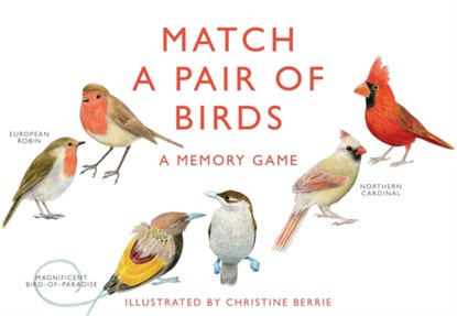 Match a Pair of Birds, BERRIE,  Christine - Losbladig - 9781856699662