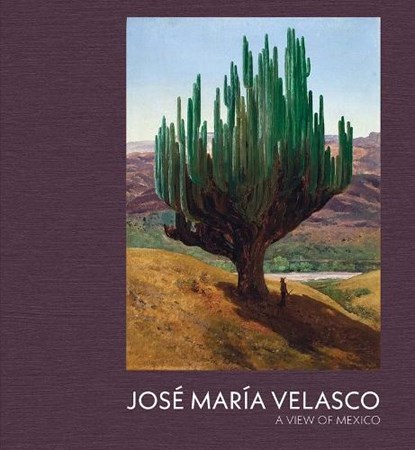 Jose Maria Velasco, Dexter Dalwood ; Daniel Sobrino Ralston - Gebonden - 9781857097252