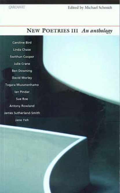 New Poetries v.3, Michael Schmidt - Paperback - 9781857545920