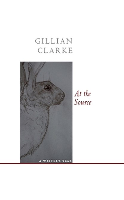 At the Source, Gillian Clarke - Paperback - 9781857549867
