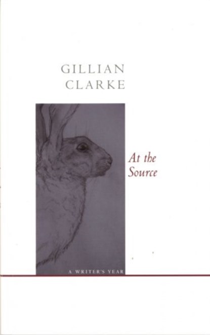 At the Source, Gillian Clarke - Paperback - 9781857549867