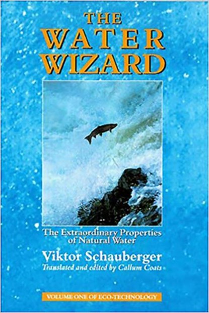 The Water Wizard, Viktor Schauberger - Paperback - 9781858600482