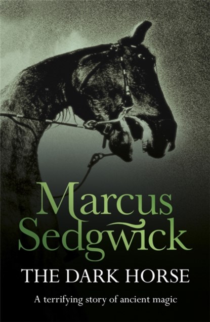 The Dark Horse, Marcus Sedgwick - Paperback - 9781858818849