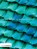 Biomimicry in Architecture, PAWLYN,  Michael - Paperback - 9781859463758