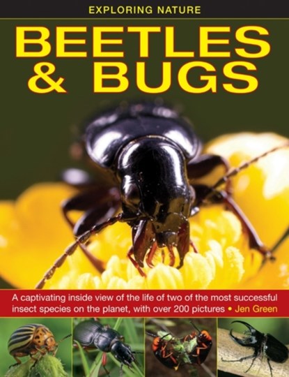 Exploring Nature: Beetles & Bugs, Jen Green - Gebonden - 9781861473660