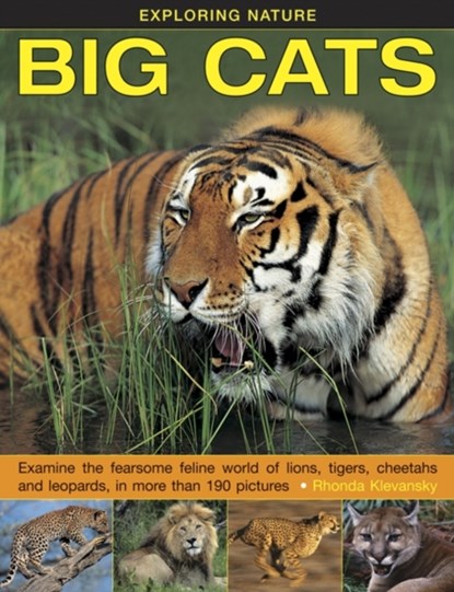 Exploring Nature: Big Cats, Rhonda Klevansky - Gebonden - 9781861474063
