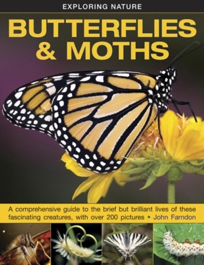 Exploring Nature: Butterflies & Moths, Farndon John - Gebonden - 9781861474070
