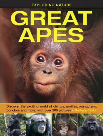 Exploring Nature: Great Apes, Taylor Barbara - Gebonden - 9781861474520