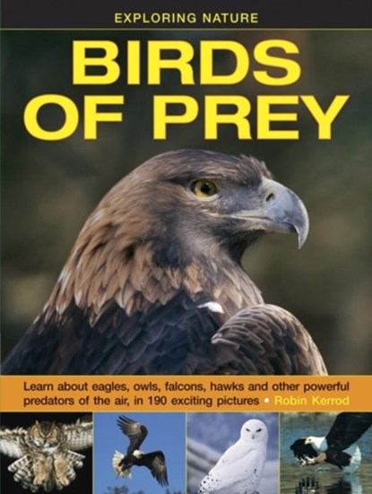Exploring Nature: Birds of Prey, Kerrod Robin - Gebonden - 9781861474834
