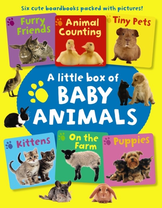 Little Box of Baby Animals