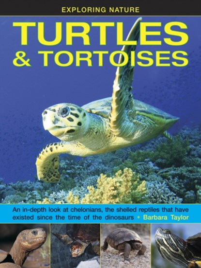 Exploring Nature: Turtles & Tortoises, Taylor Barbara - Gebonden - 9781861476432