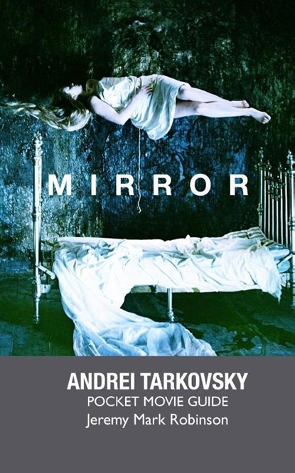 MIRROR, Jeremy Mark Robinson - Paperback - 9781861713018