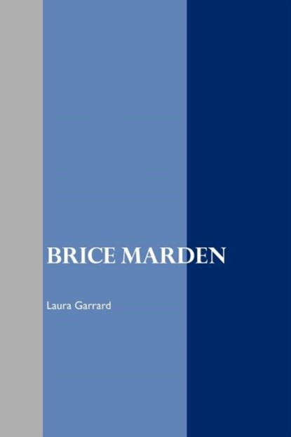 Brice Marden, niet bekend - Paperback - 9781861713766