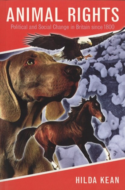 Animal Rights, Hilda Kean - Paperback - 9781861890610